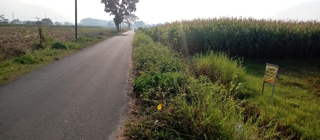 Dijual Tanah Strategis di Wilayah Mojokerto - Image 1