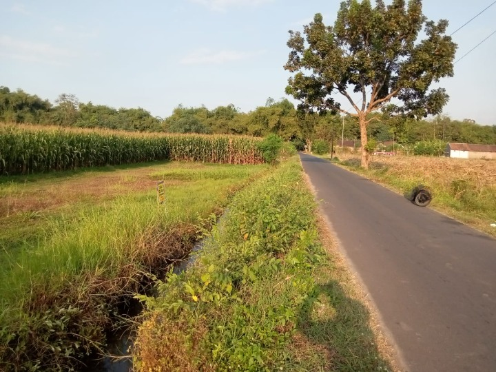 Dijual Tanah Strategis di Wilayah Mojokerto - Thumbnail 2