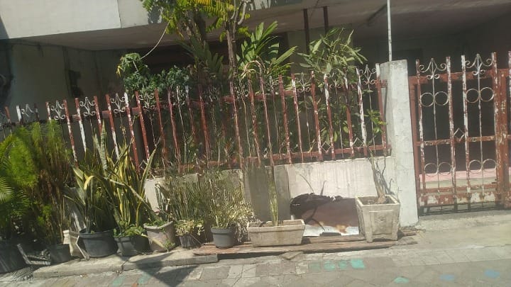Dijual Rumah Strategis Pucang Adi di Wilayah Surabaya Timur - Image 1