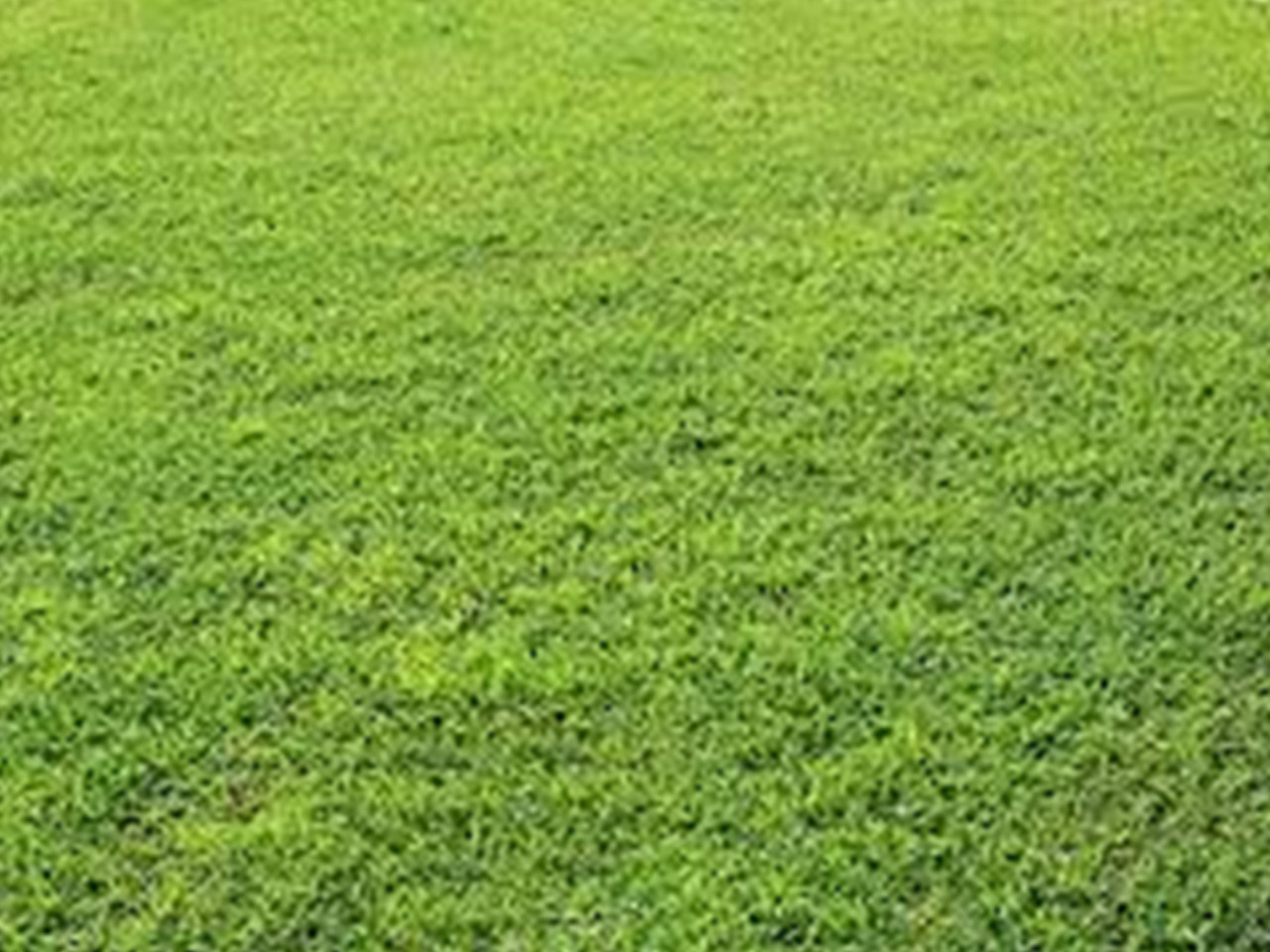 Dijual Tanah Strategis di Citraland East Wood Surabaya Barat - Image 1