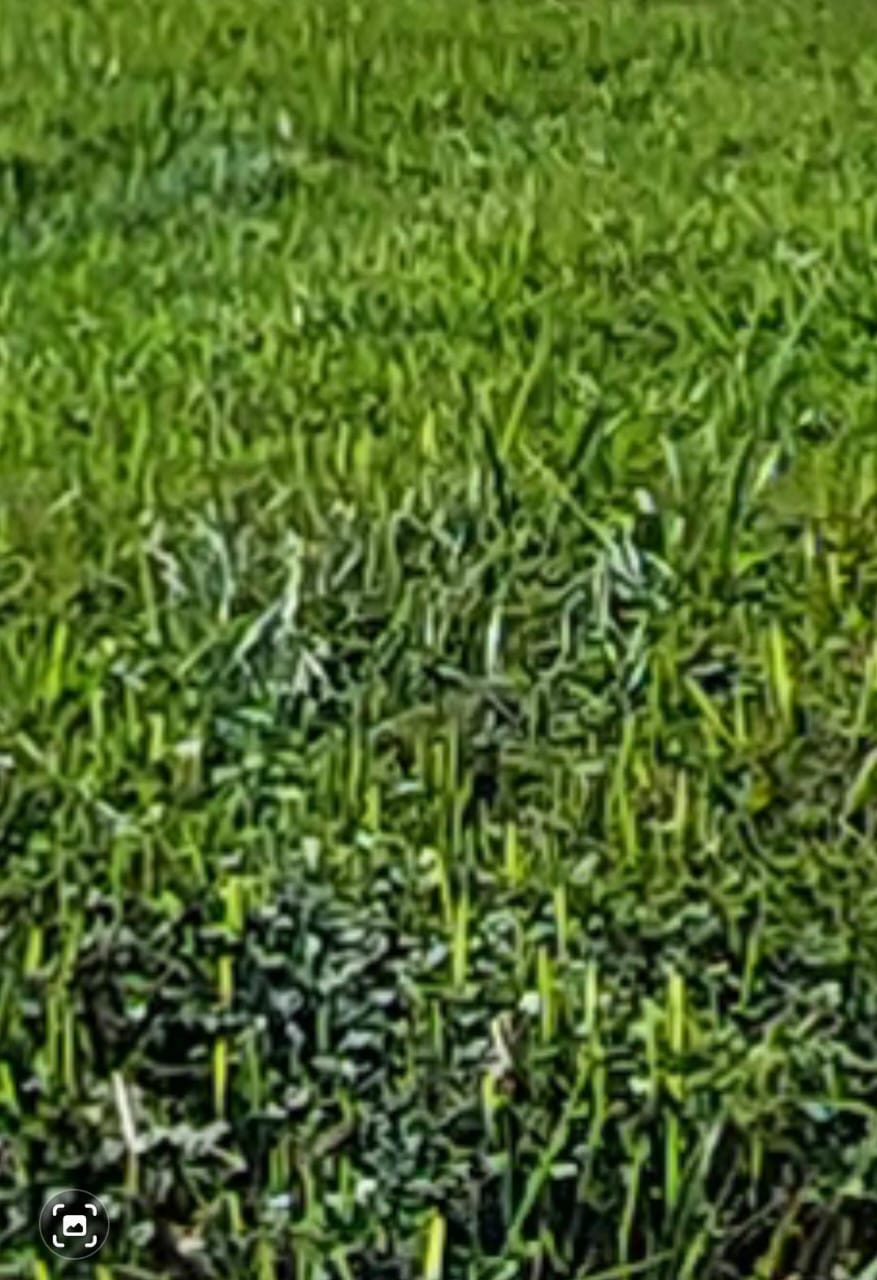 Dijual Tanah Strategis di Puncak Golf Citraland Surabaya Barat - Image 1