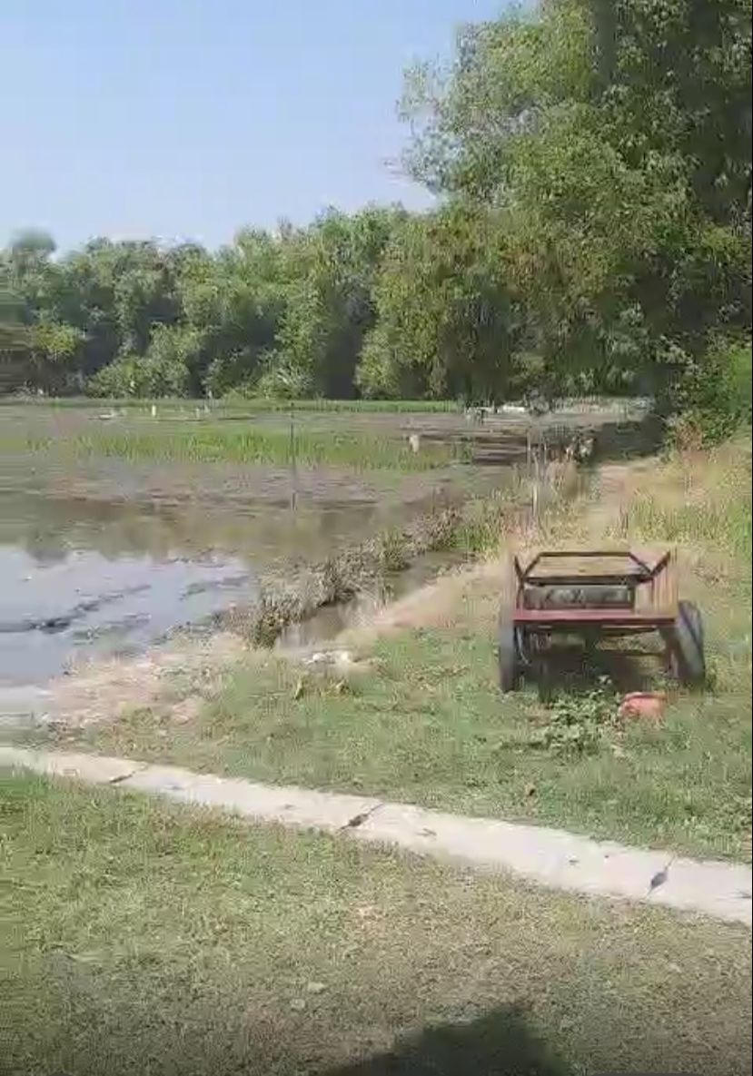 Dijual Tanah/Sawah Strategis di Wilayah Sidoarjo - Thumbnail 3