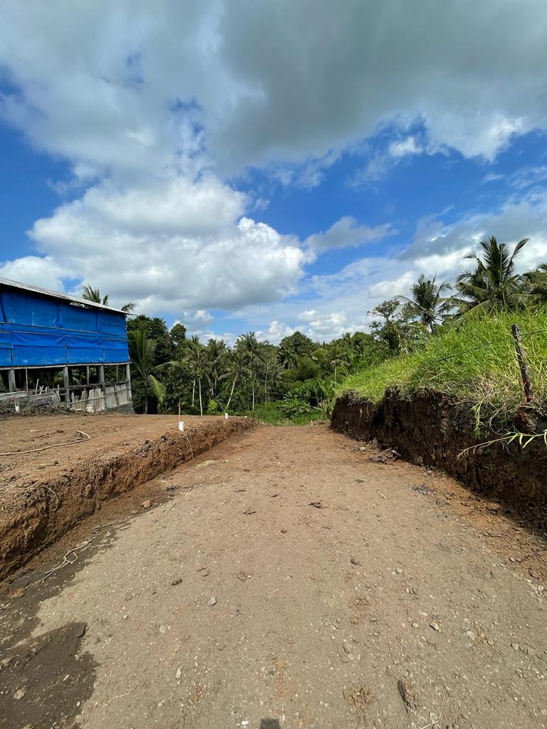 Dijual Tanah Strategis di Sarwa Genep Gubug Kecamatan Tabanan Wilayah Bali - Image 1