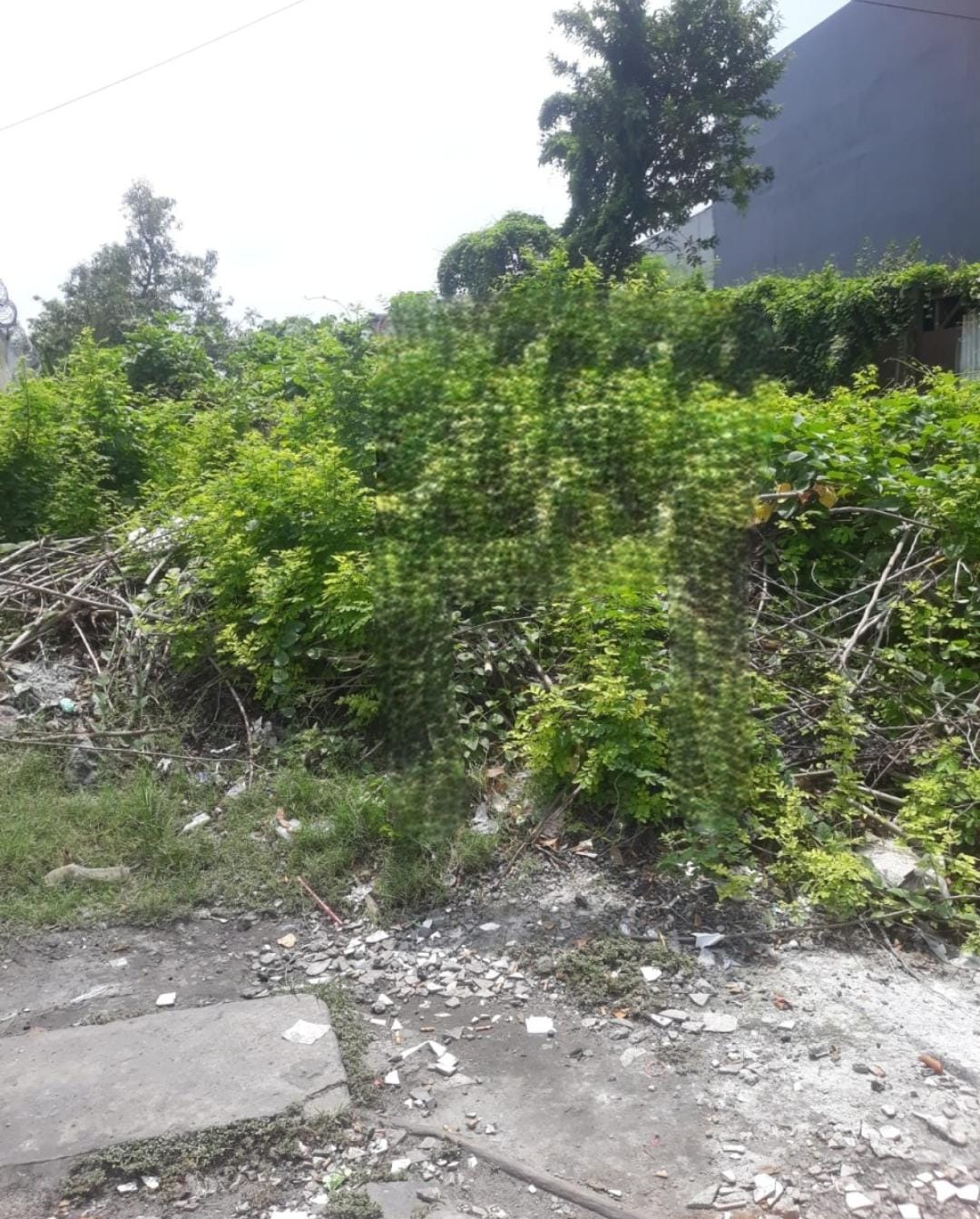 Dijual Tanah Strategis yang Berkembang Pesat di Sepat Lidah Kulon Surabaya Barat - Image 1