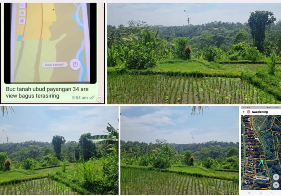 Dijual/disewakan Tanah Strategis di Wilayah Payangan Bali - Image 1