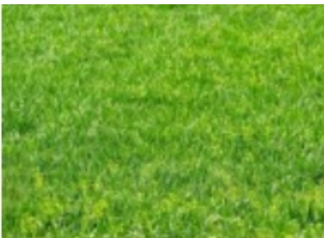 Dijual Tanah di Kupang Indah Surabaya Barat - Image 1