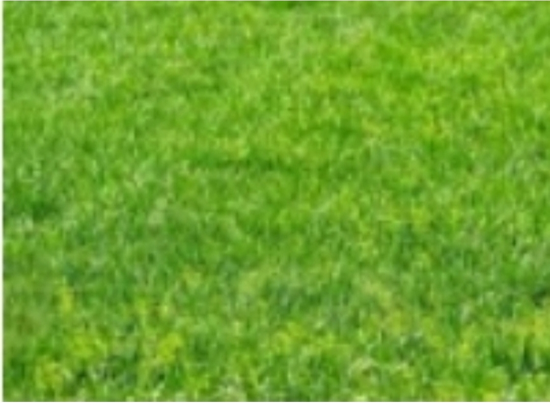 Dijual Kavling di Wilayah Surabaya Timur - Image 1