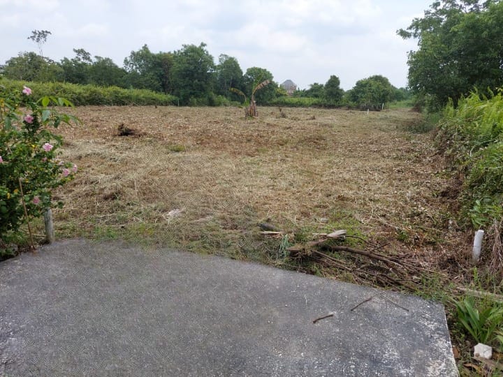 Dijual Tanah di Ciamik Wilayah Pekanbaru - Image 1