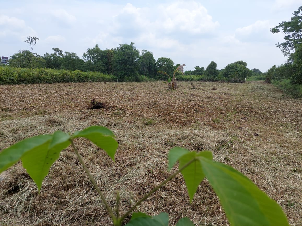 Dijual Tanah di Ciamik Wilayah Pekanbaru - Thumbnail 2