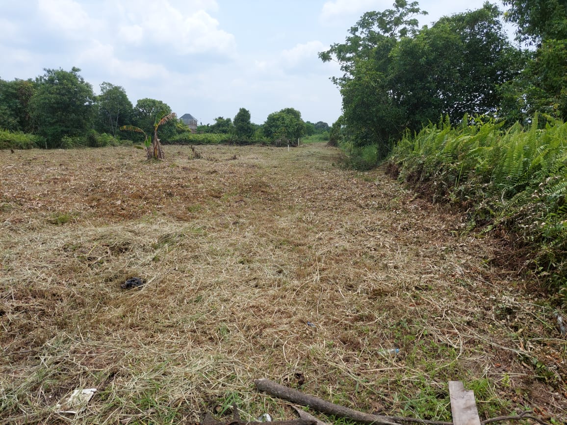 Dijual Tanah di Ciamik Wilayah Pekanbaru - Thumbnail 4