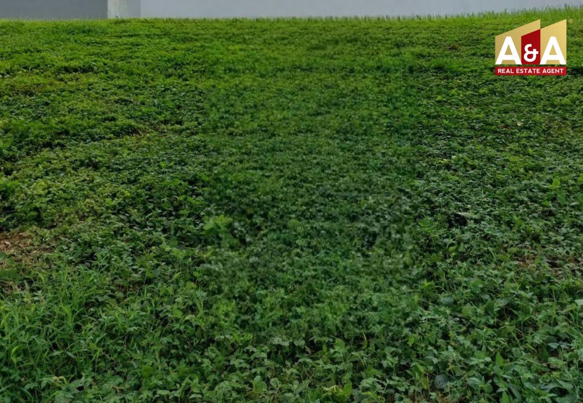 Dijual Tanah Strategis di Wilayah Mojokerto - Image 1