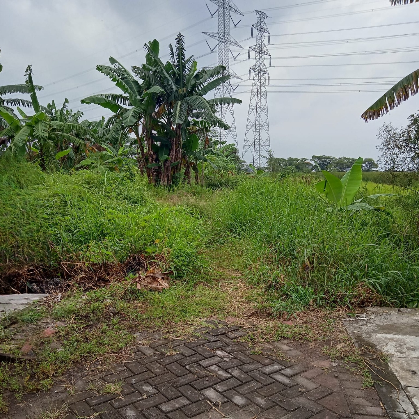 Dijual Tanah di Benowo Surabaya Barat - Image 1