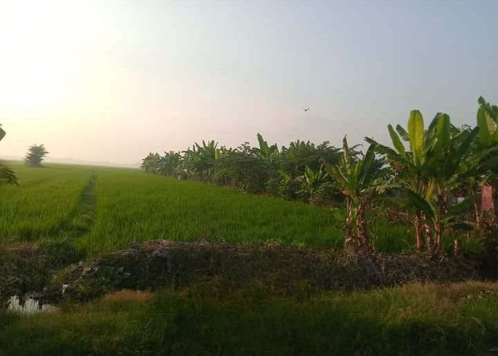 Dijual Tanah Strategis di Wilayah Gedangan Sidoarjo - Image 1