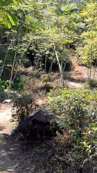 Dijual Kebun Luas Strategis di Wilayah Sukanegara Cianjur - Thumbnail 3