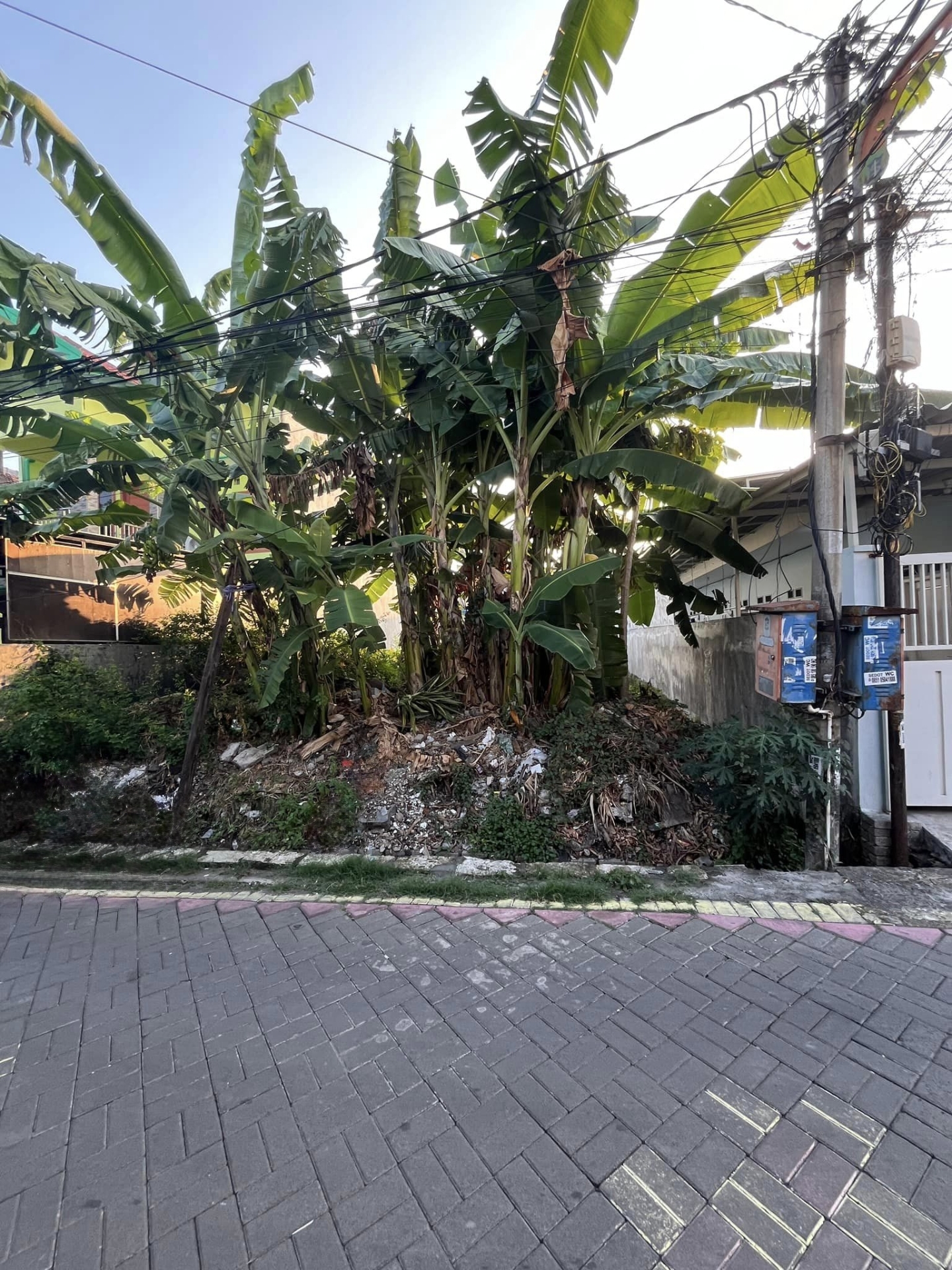 Dijual Tanah di Wonorejo Surabaya Timur - Image 1