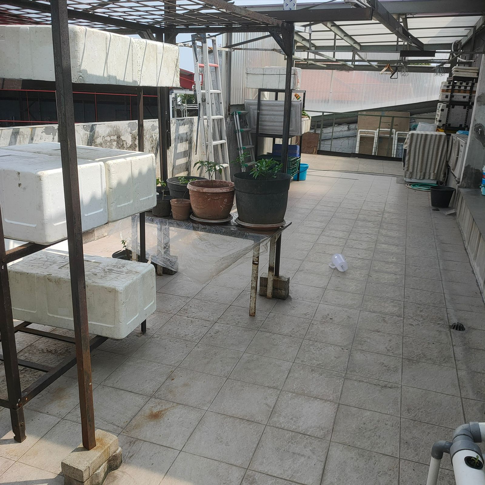 Dijual Rumah Bagus Nyaman di Wilayah Dupak Surabaya Utara - Thumbnail 3