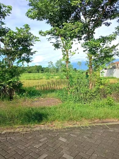 Dijual Tanah Bagus Strategis di Wilayah Pasuruan - Thumbnail 2