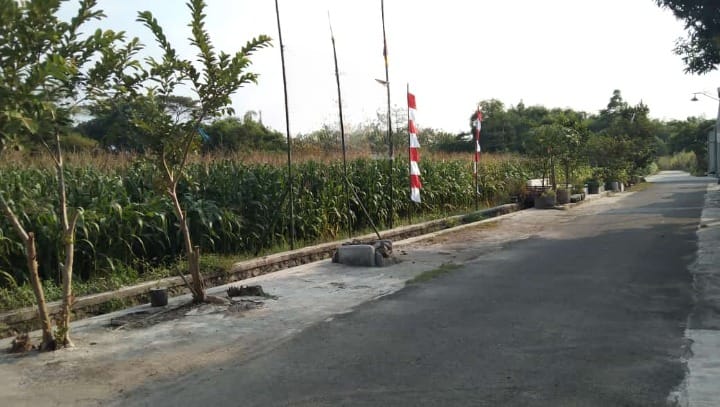 Dijual Cepat Tanah Murah di Wilayah Mojokerto - Image 1