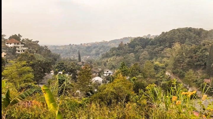 Dijual Tanah Strategis Wilaya Pasuruan - Image 1