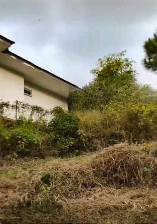 Dijual Tanah Strategis Wilaya Pasuruan - Thumbnail 2