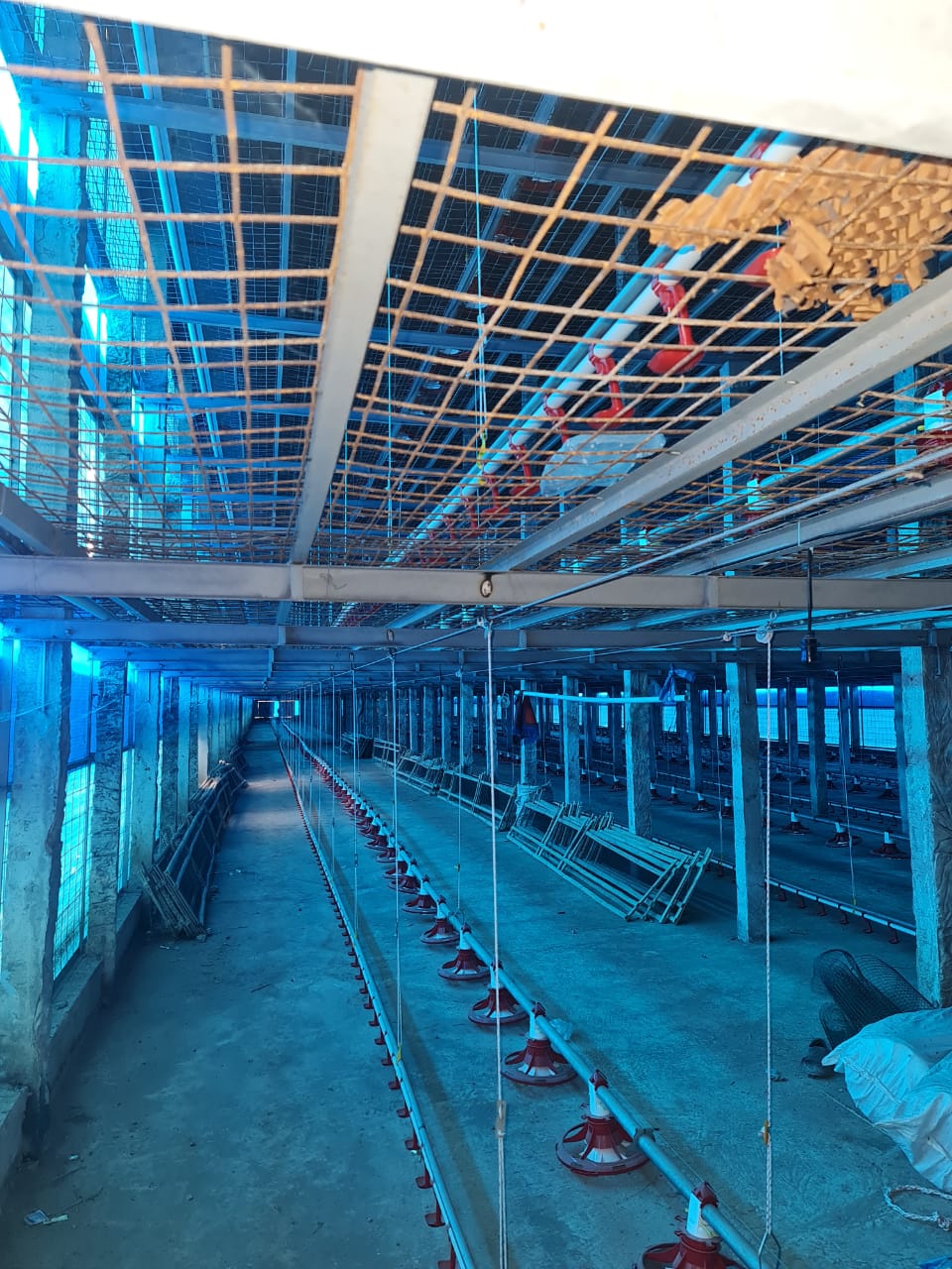 DI JUAL LAHAN PETERNAKAN AYAM ( KANDANG AYAM ) - Thumbnail 4