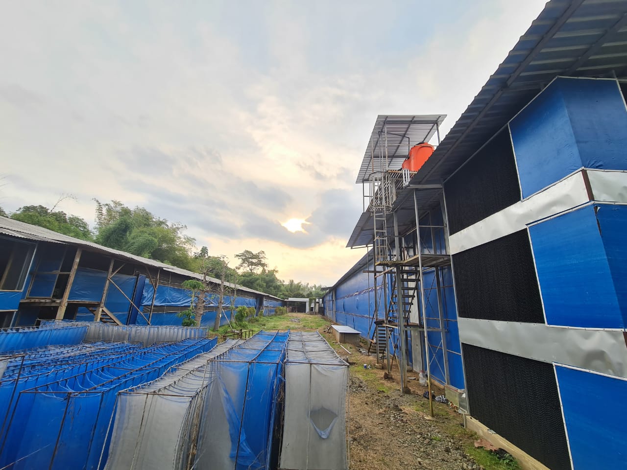 DI JUAL LAHAN PETERNAKAN AYAM ( KANDANG AYAM ) - Image 1