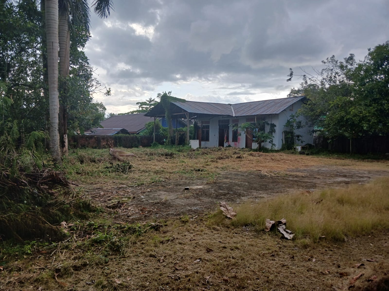 Dijual Tanah Luas Di Wilayah Papua - Image 1