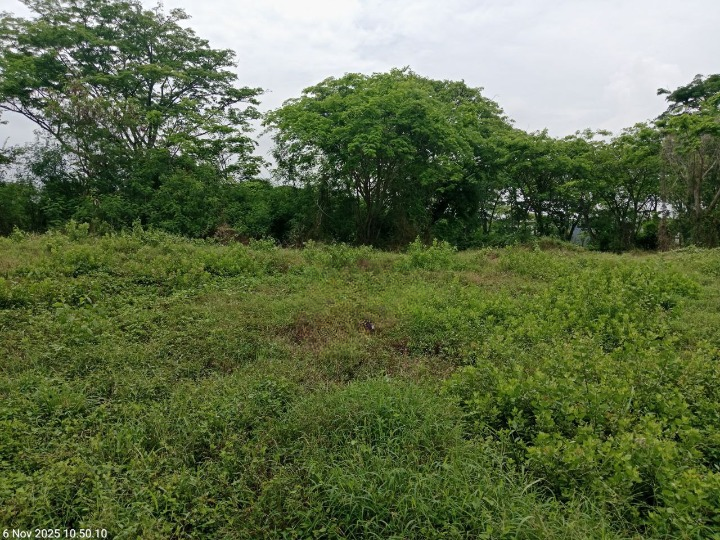 Dijual Tanah Kavling Golf View di Bukit Golf International Citraland Surabaya Barat - Image 1