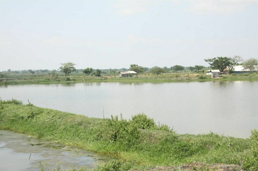 Dijual Tambak Strategis di Nol Jalan Raya Daendles Gresik - Image 1