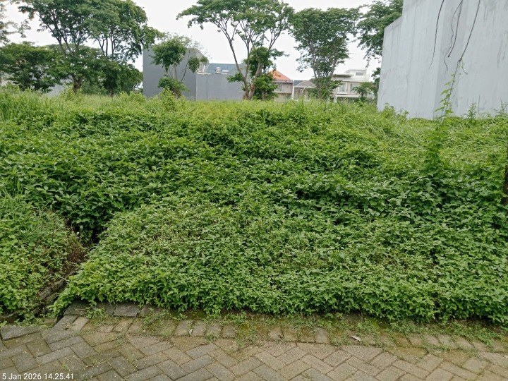 Dijual Tanah Lokasi Strategis di Bukit Golf International Citraland Surabaya Barat - Image 1