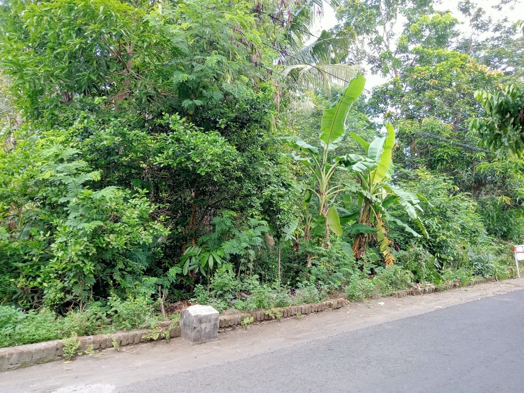 Dijual Tanah Hook Strategis Wilayah Yogyakarta - Thumbnail 2