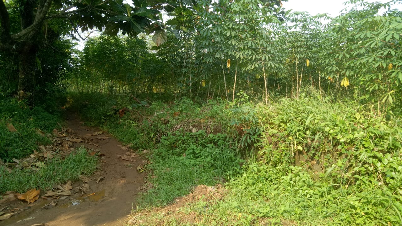 Dijual Tanah Strategis Wilayah Jawa Barat - Image 1