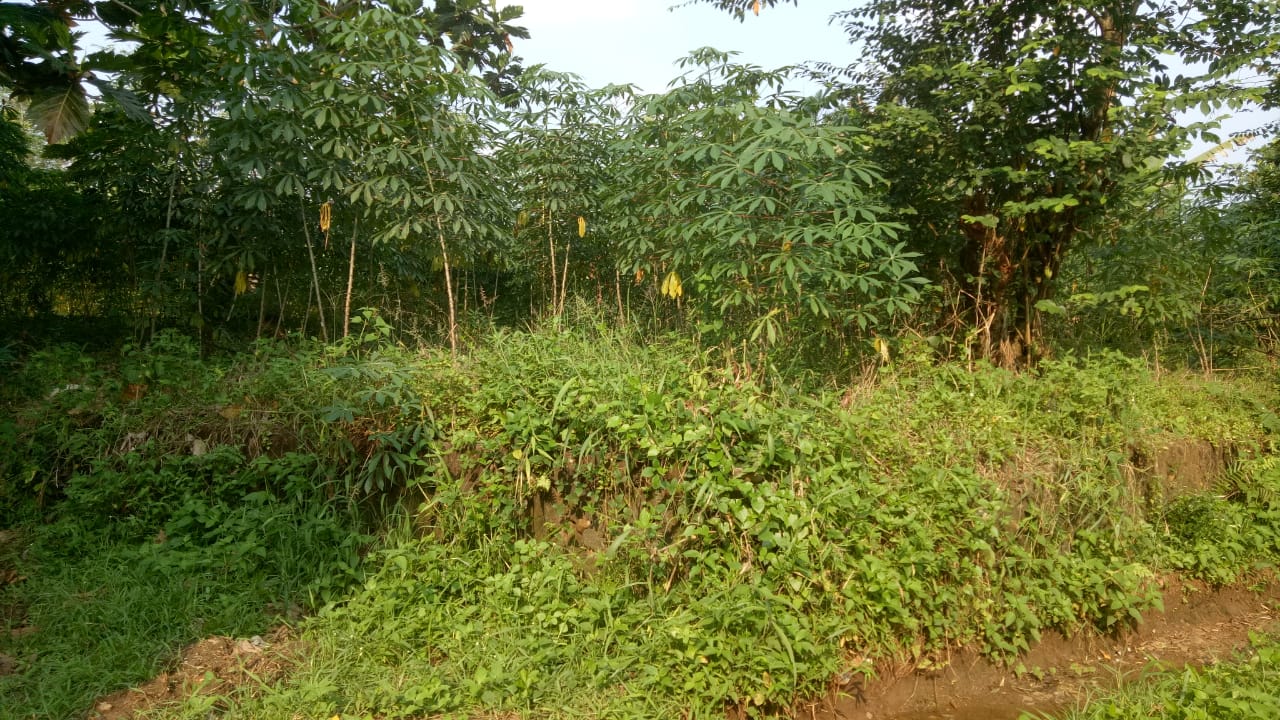 Dijual Tanah Strategis Wilayah Jawa Barat - Thumbnail 3