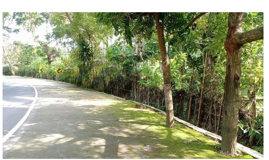 Tanah Komersial Raya Senggigi Lombok Nusa Tenggara Barat - Image 1