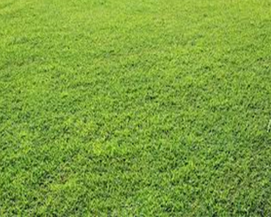 Dijual Kavling Strategis Area Citraland Surabaya Barat - Image 1