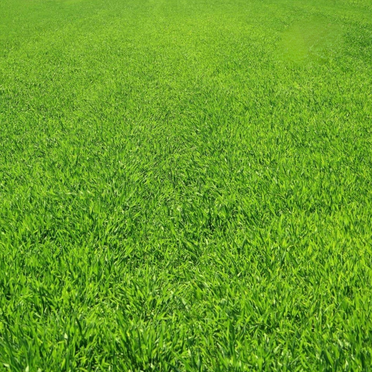 Dijual Murah Tanah di Northwest Park Citraland Wilayah Surabaya Barat - Image 1