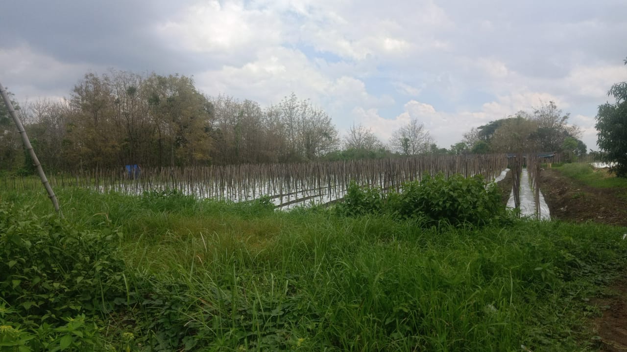 Dijual Tanah Strategis Sidowungu Menganti Gresik - Image 1