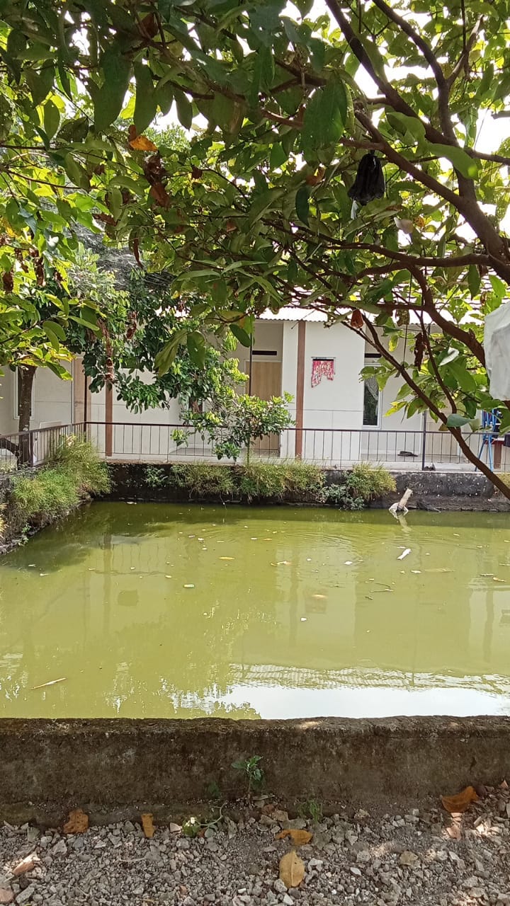 Dijual Rumah Kontrakan 4 Bangunan di Ciherang Cutak﻿​ Bogor - Thumbnail 2