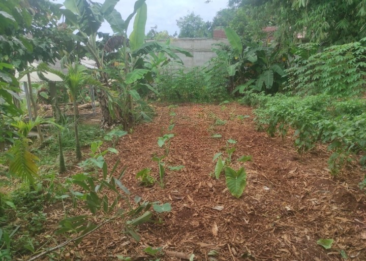 Dijual Kavling Tanah Tajur Halang Lokasi Strategis Wilayah Bogor - Image 1