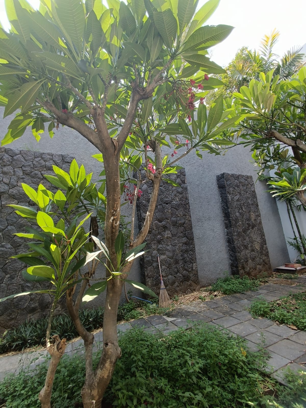 Dijual Rumah Mewah di Citraland Surabaya Barat - Thumbnail 4