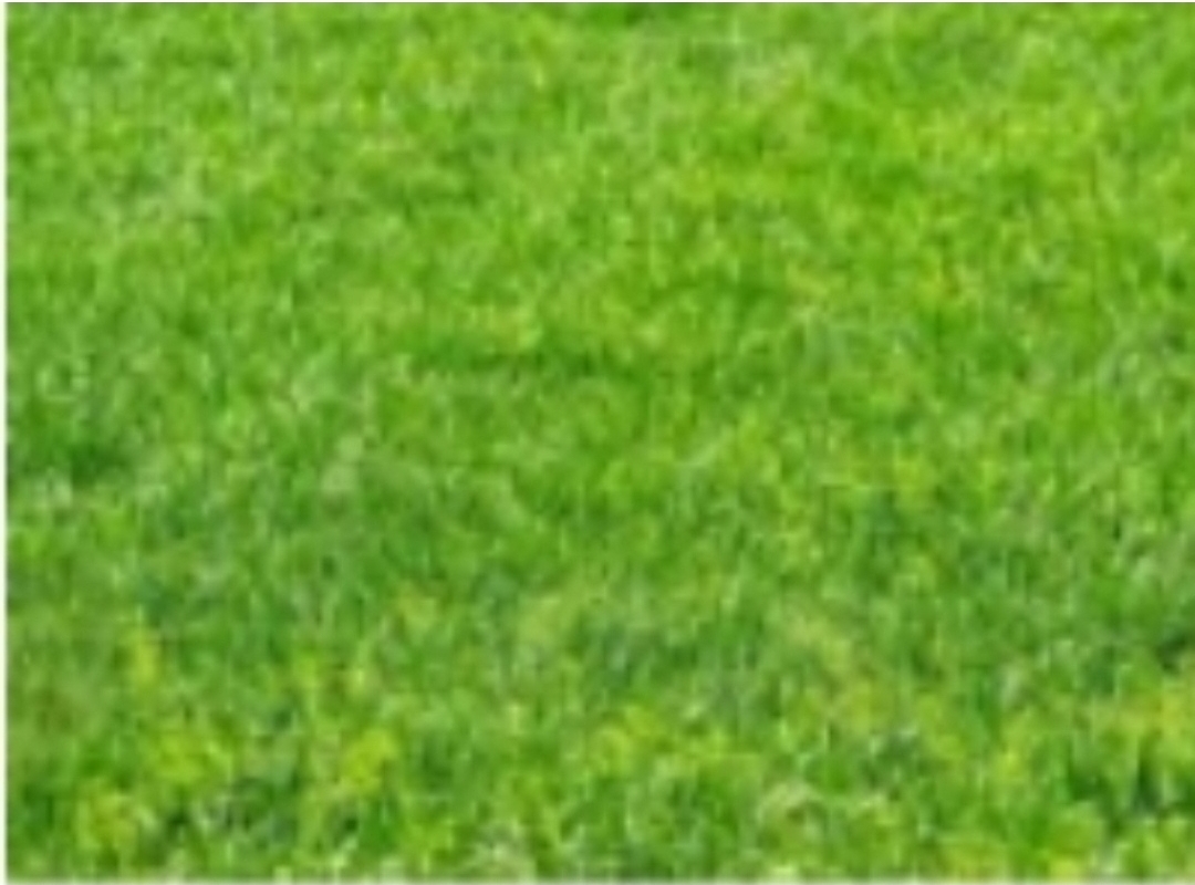 Dijual Tanah Kavling di Raffles Garden Citraland Surabaya Barat Lingkungan Eksklusif - Image 1