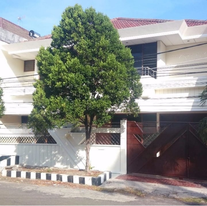 Disewakan Rumah Nyaman dan Luas di Dharmahusada Surabaya Timur - Image 1
