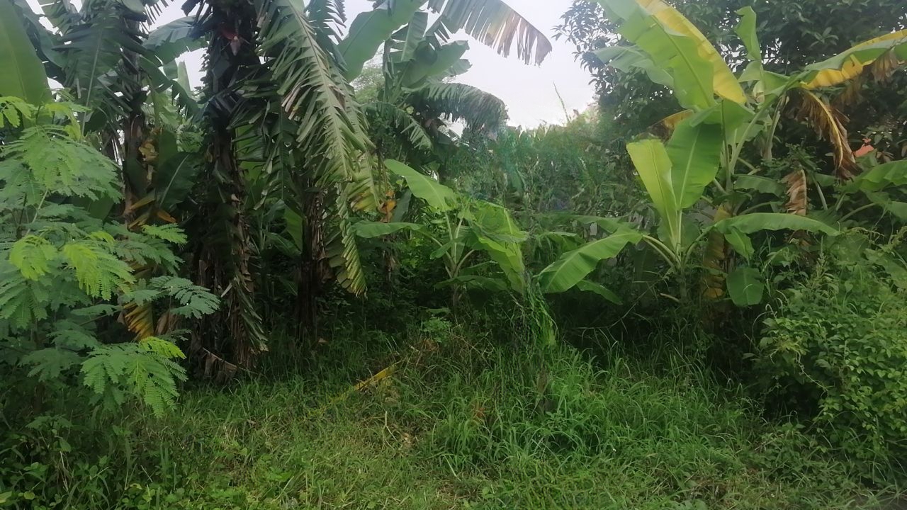 Dijual Tanah Lokasi Dukuh Kuwukan Surabaya Barat - Image 1