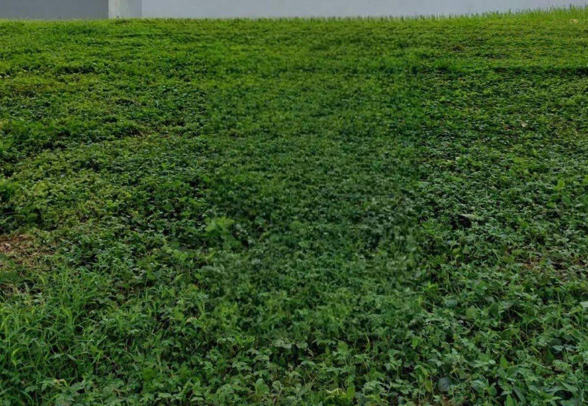 Dijual Tanah Murah Strategis di Citraland Puri Widya Kencana, Surabaya Barat - Image 1