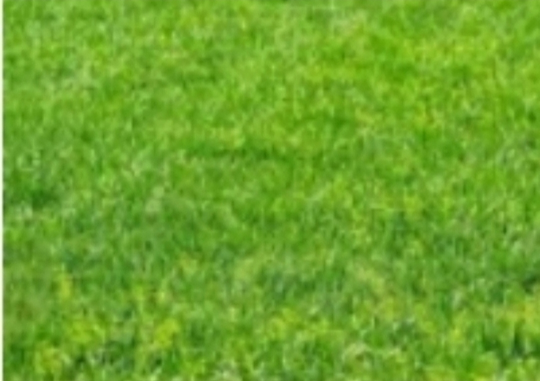 Dijual Kavling Tanah Raya Lontar Lokasi Komersial Strategis Surabaya Barat - Image 1