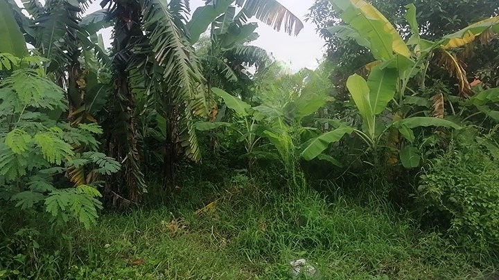 Dijual Tanah di Dukuh Kuwukan Surabaya Barat Lokasi Berkembang - Image 1