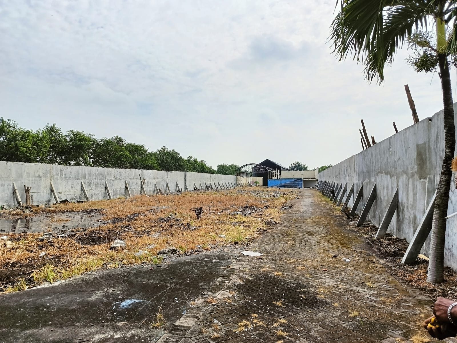 Tanah Dijual di Klitih Randegansari Driyorejo Gresik - Thumbnail 2
