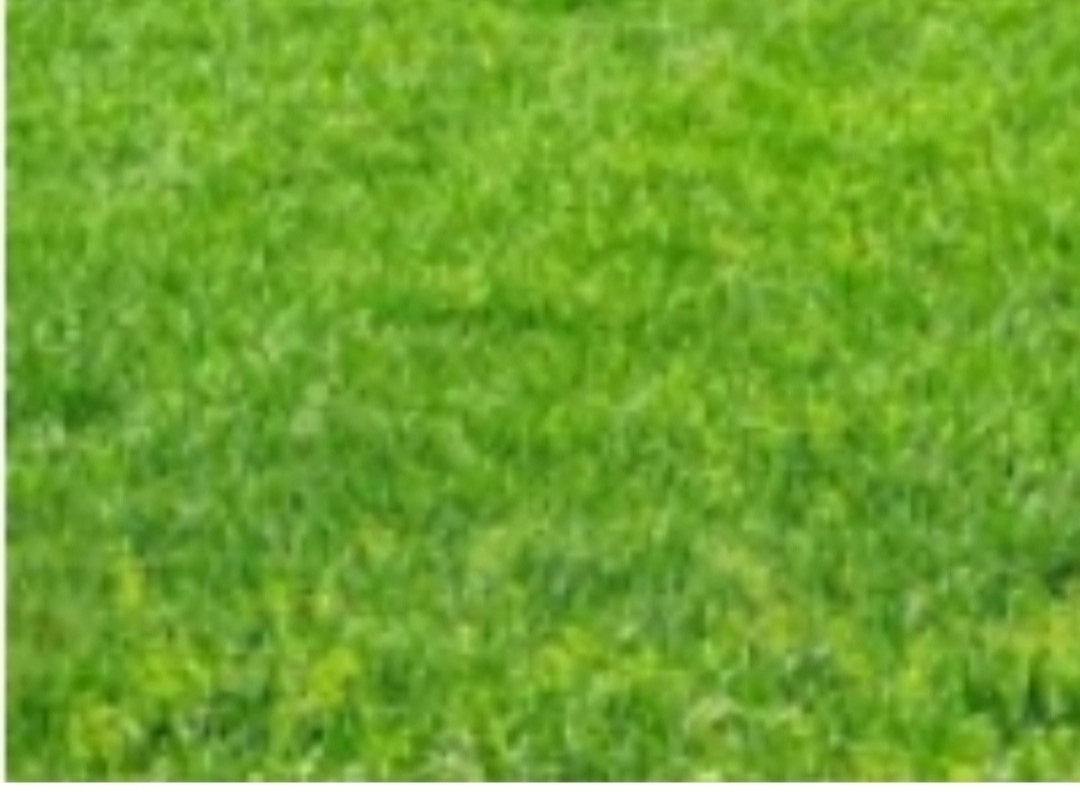 Dijual kavling di Galeria Golf Citralsnd Surabaya Barat - Image 1