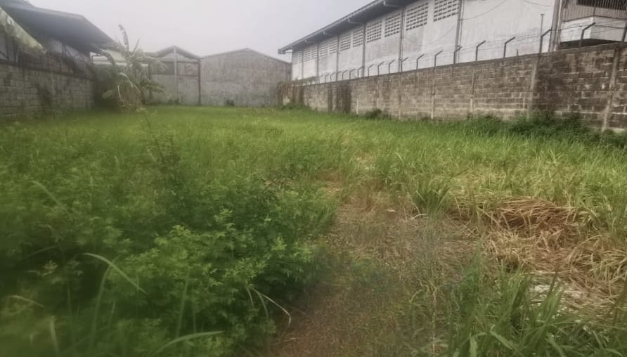 Dijual Tanah Luas di Dumar Industri Margomulyo Surabaya Barat Investasi Menjanjikan - Image 1