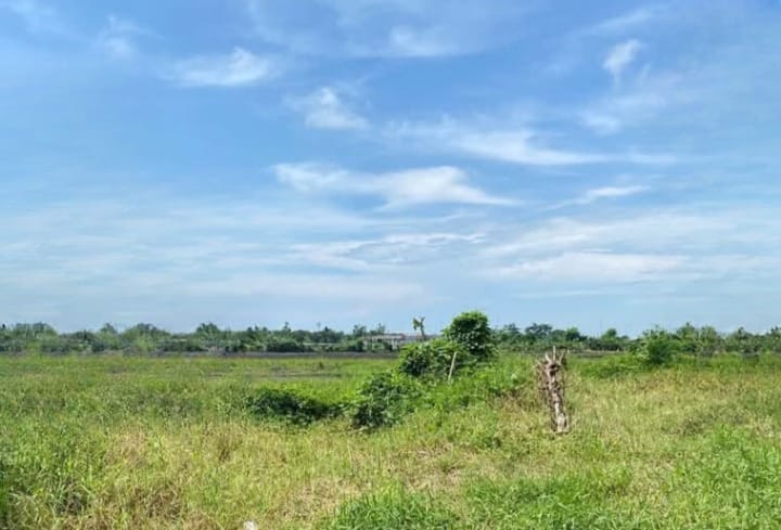 Dijual Rumah Mewah dan Elegan di Jemur Andayani Surabaya Selatan - Image 1